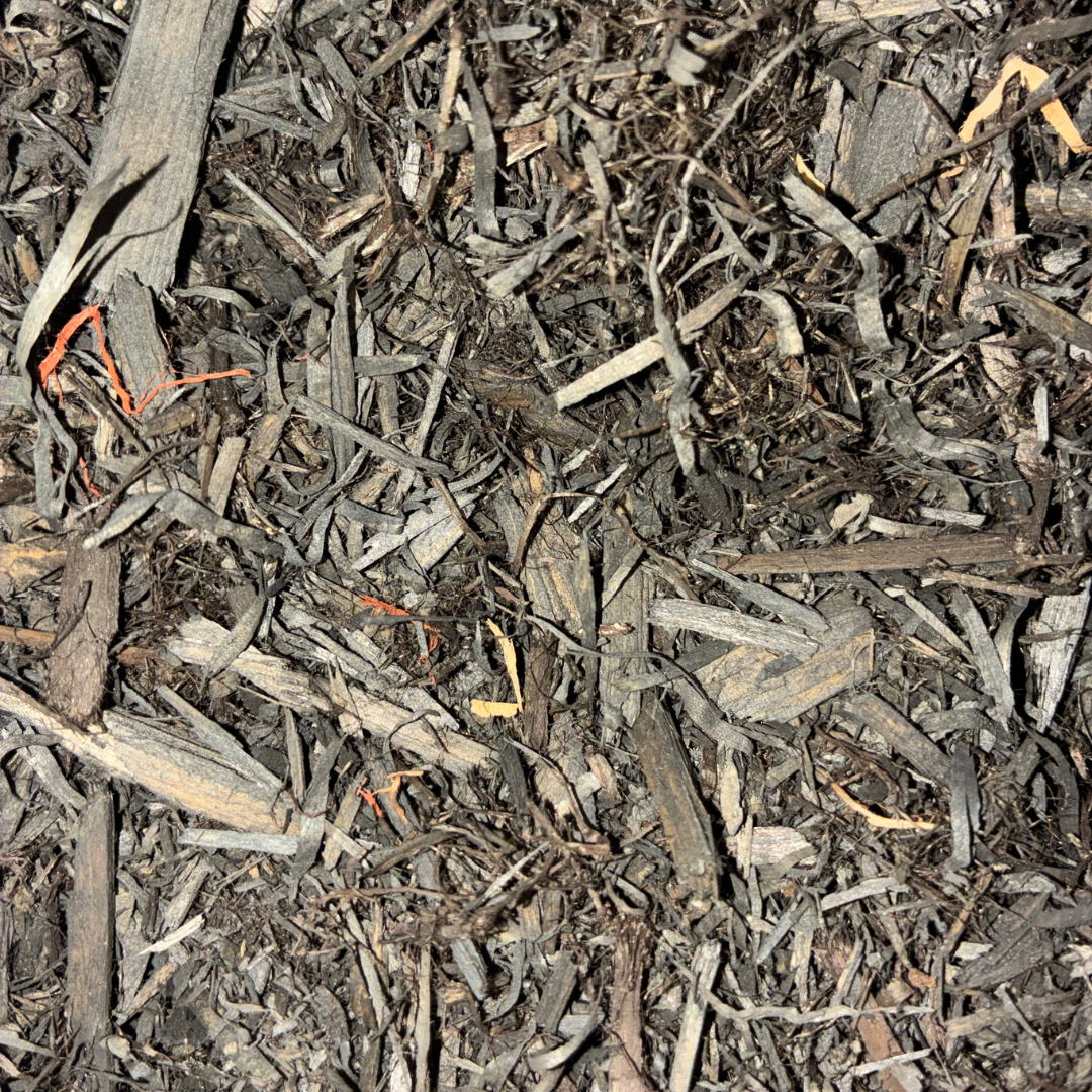 Cedar Mulch