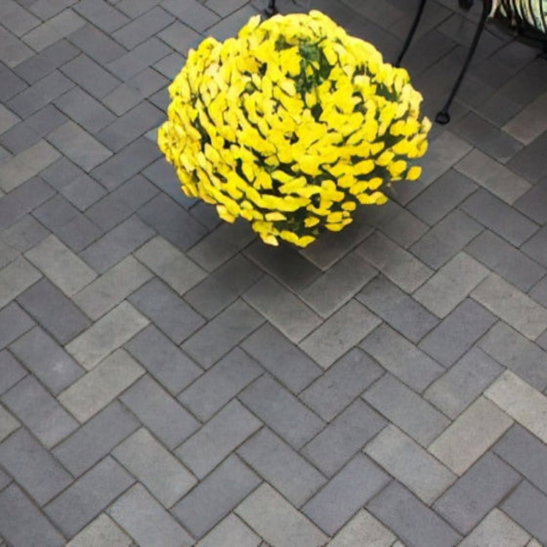 Nordic Paver