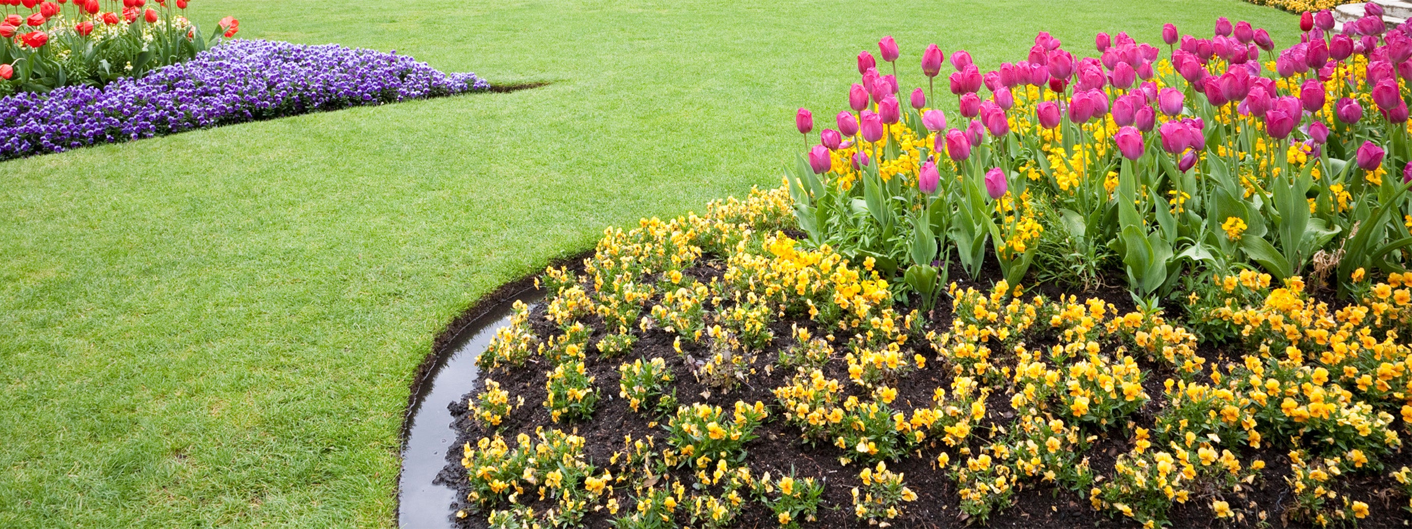 Soil | Lockstone Yard & Patio Centre