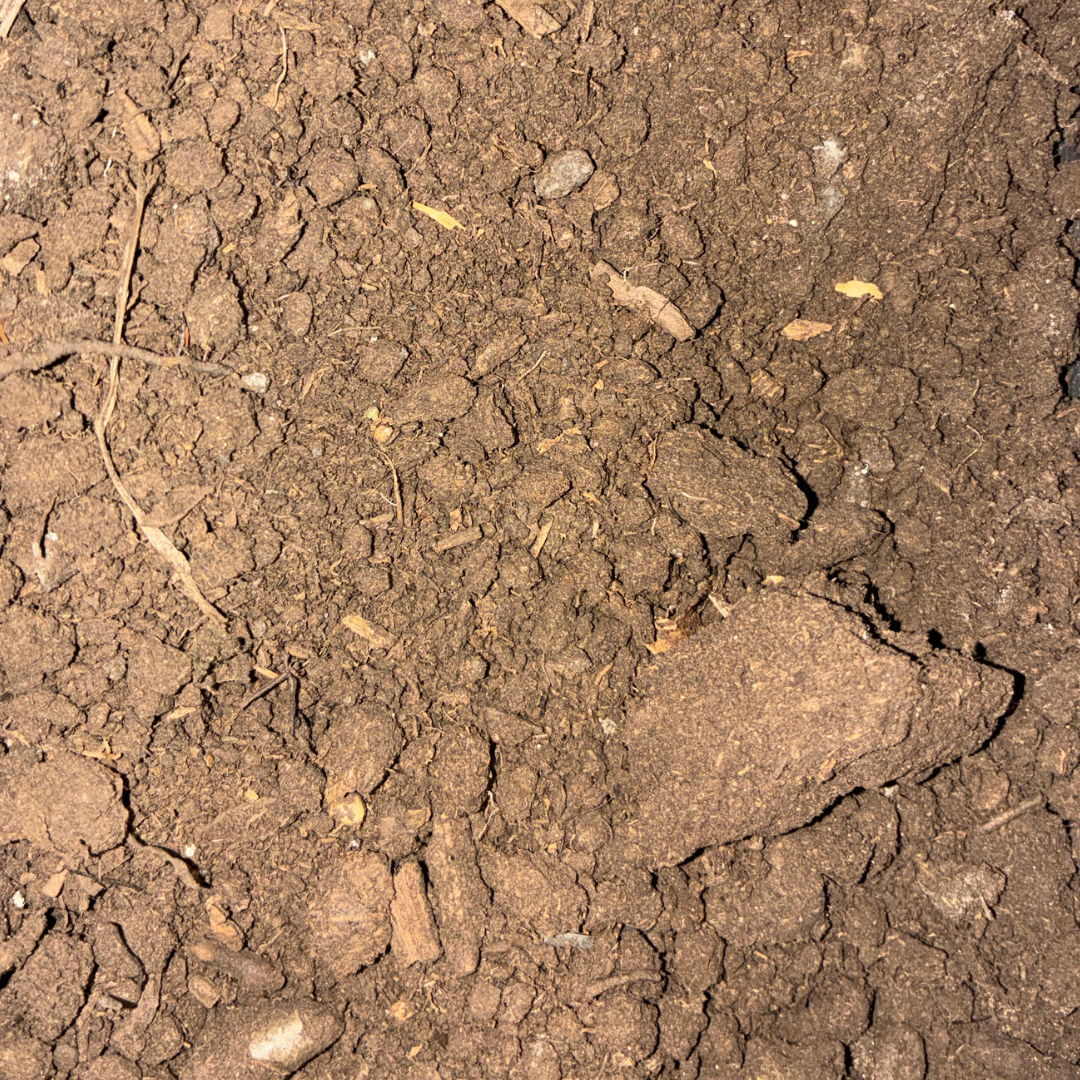 All Purpose Soil