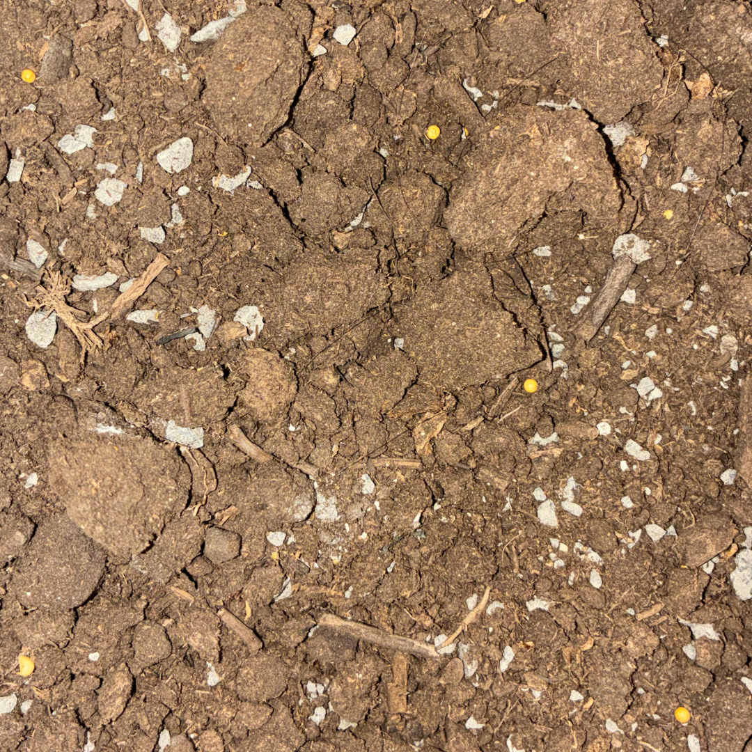 Scotts Turf Builder Enriched Lawn Soil